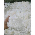 Polyester Staple Fiber Hollow HCS fiber 7d 15d for filling pillow Manufactory